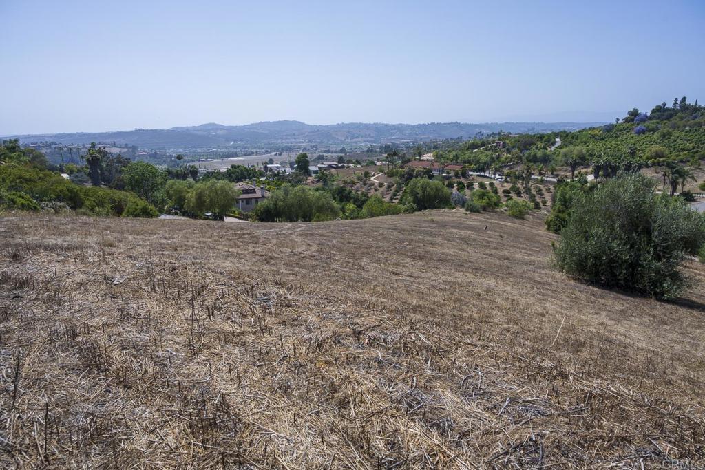 31801 Wrightwood Road Bonsall, CA 92003 - Photo 5 of 45