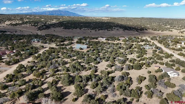 a view of city and ocean