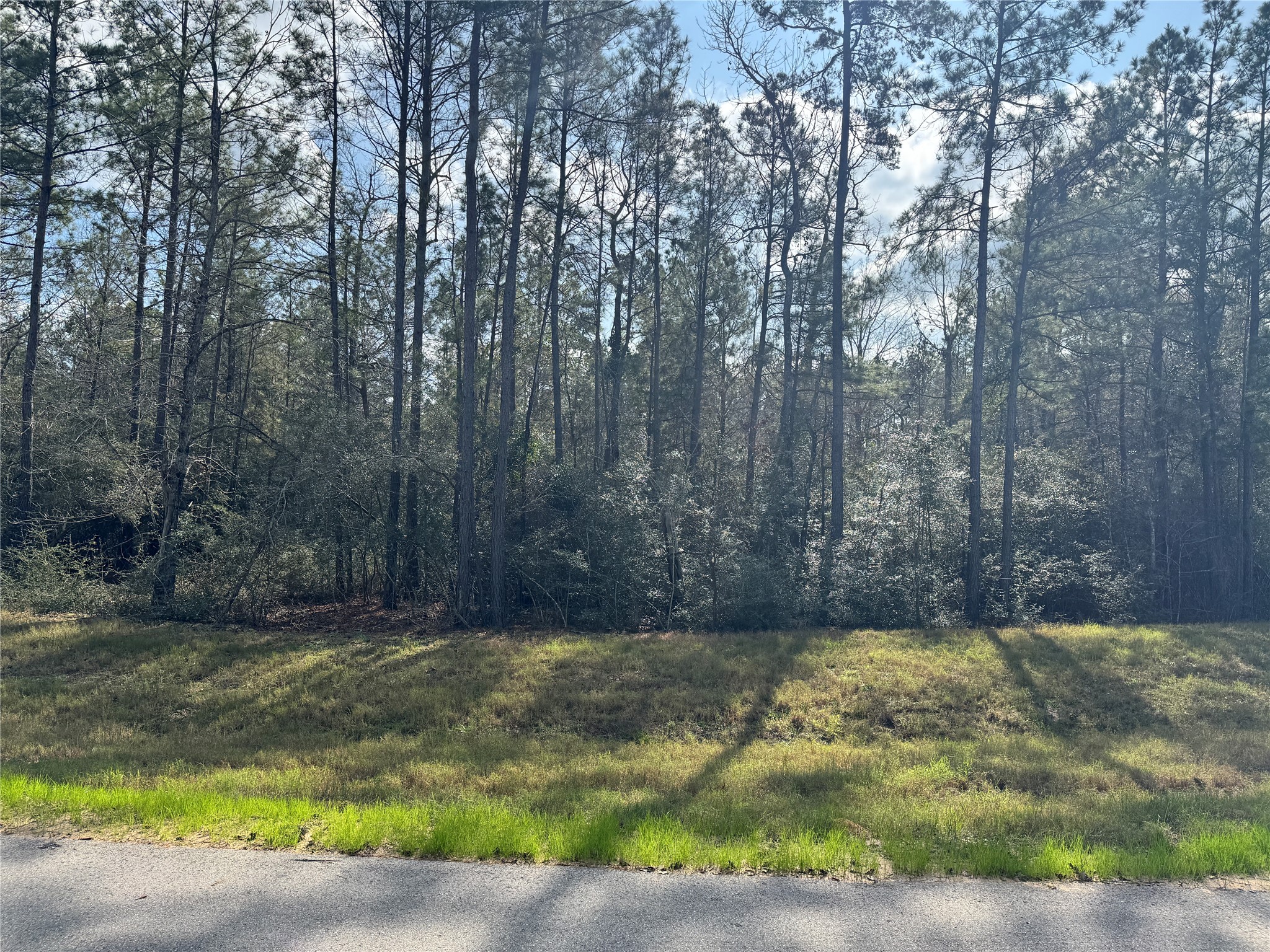 10545 Link Tree Lane Willis, TX 77378 - Photo 7 of 19