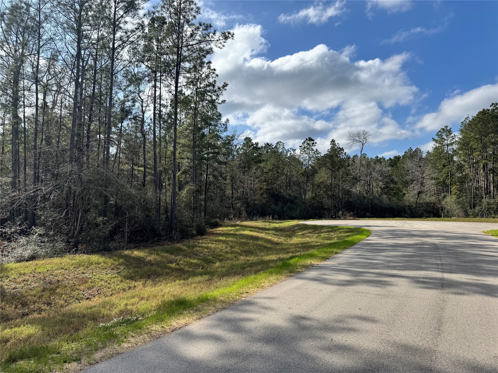 10545 Link Tree Lane Willis, TX 77378 - Photo 8 of 19