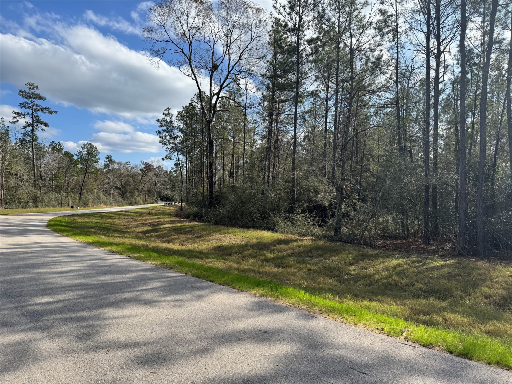 10545 Link Tree Lane Willis, TX 77378 - Photo 9 of 19