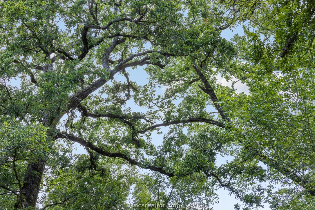 Tbd Weber Road Bryan, TX 77808 - Photo 20 of 43