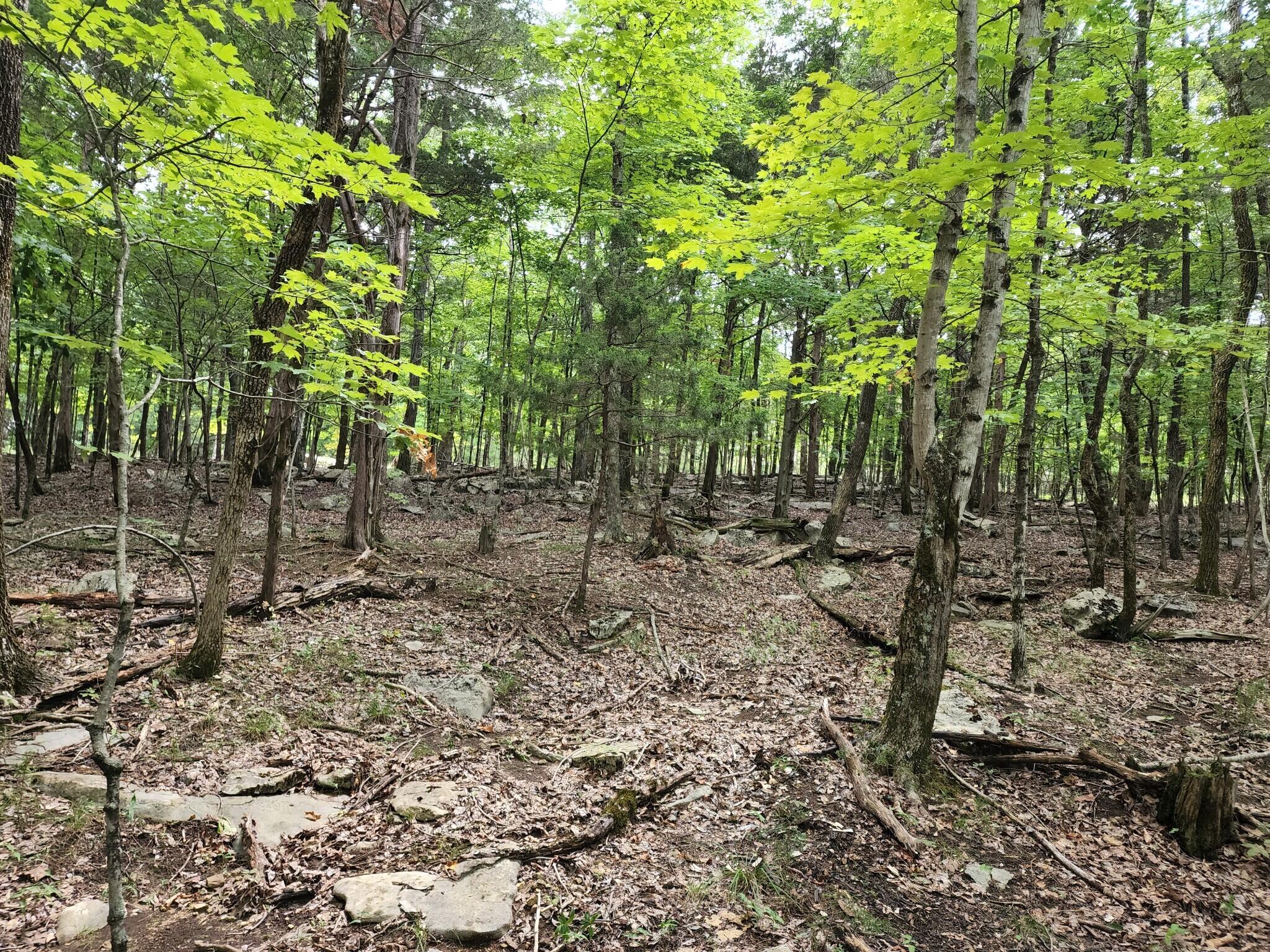 4 Sewanee Summit Road, Unit 4 Decherd, TN 37324 - Photo 1 of 32 2428500-27
