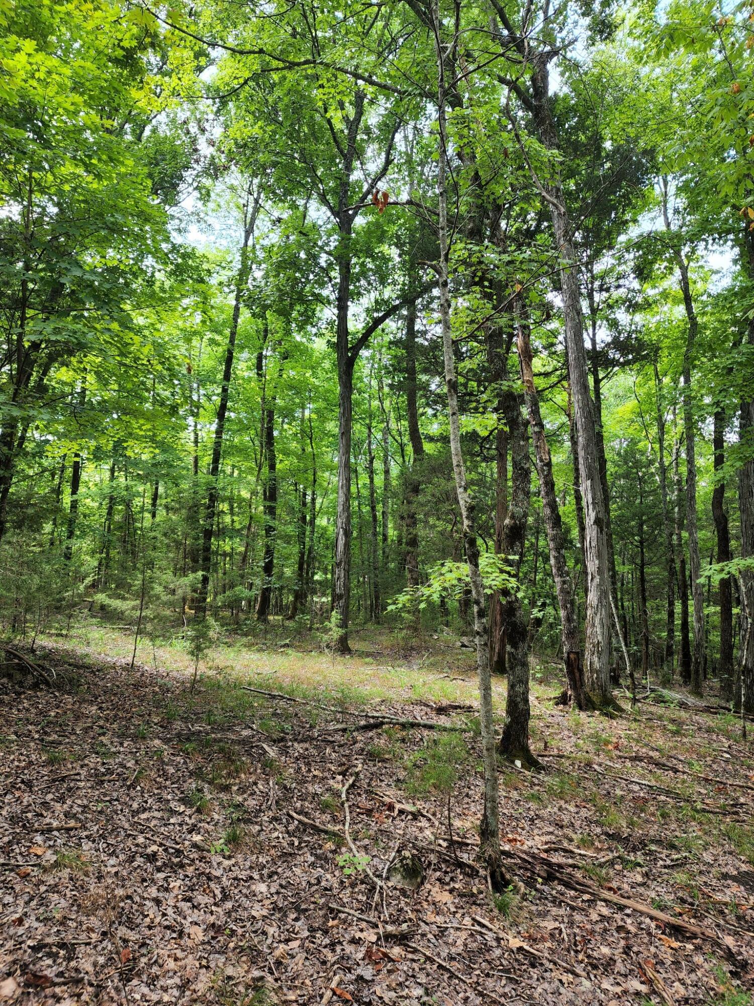4 Sewanee Summit Road, Unit 4 Decherd, TN 37324 - Photo 11 of 32 2428500-10
