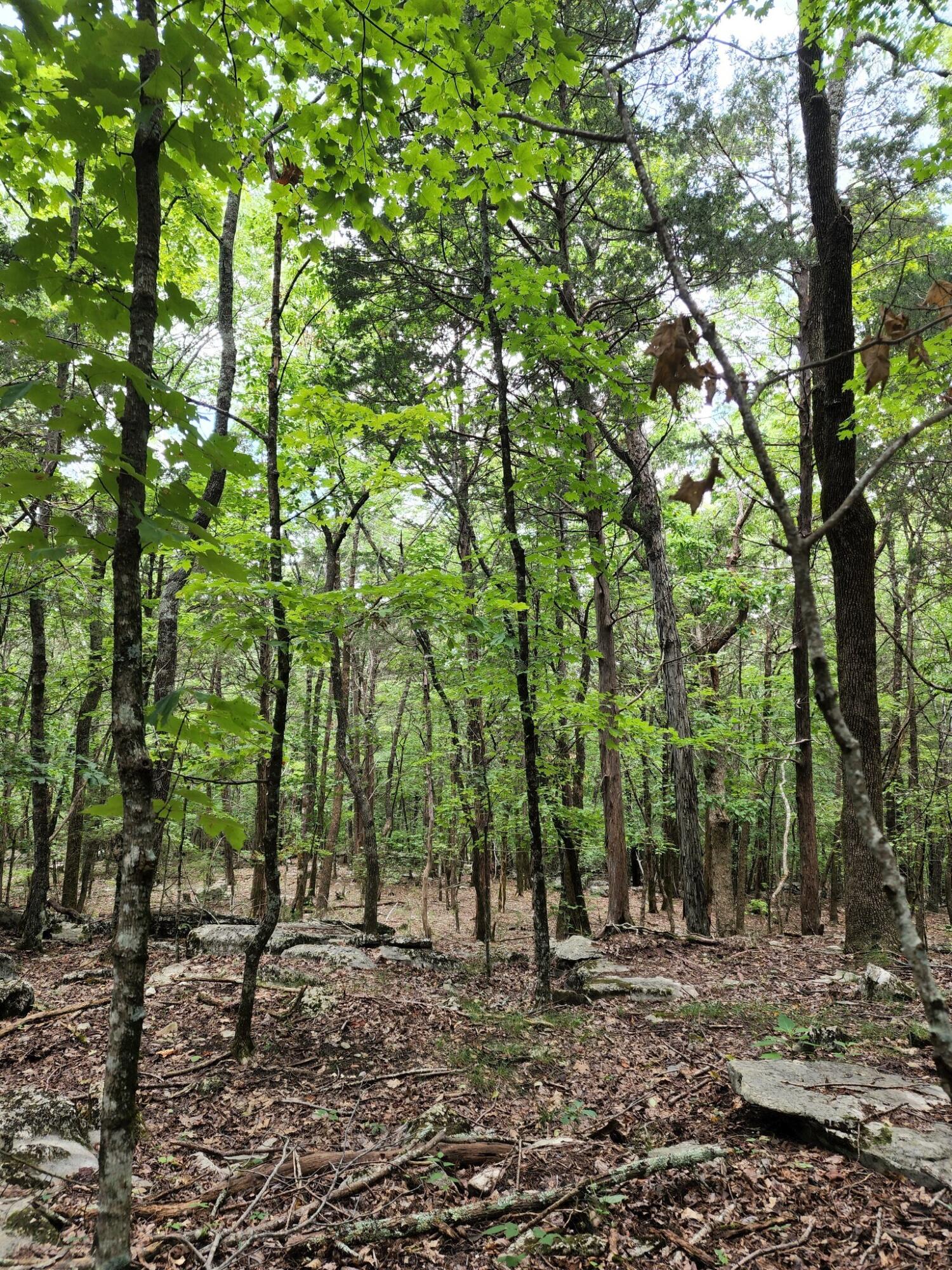 4 Sewanee Summit Road, Unit 4 Decherd, TN 37324 - Photo 13 of 32 2428500-11