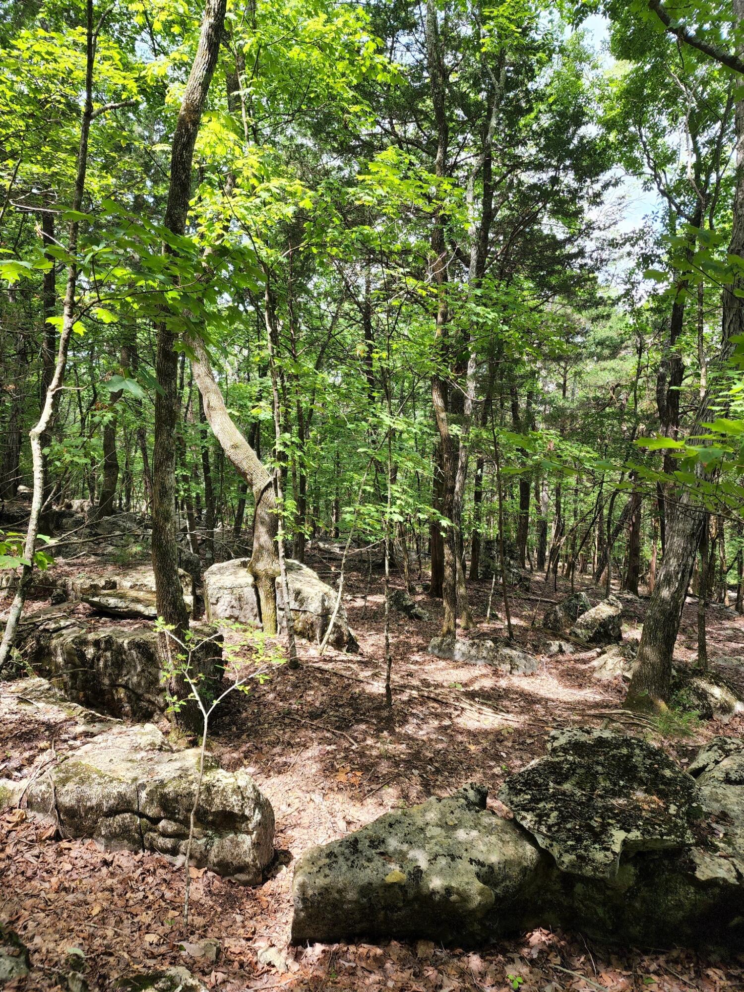 4 Sewanee Summit Road, Unit 4 Decherd, TN 37324 - Photo 17 of 32 2428500-17