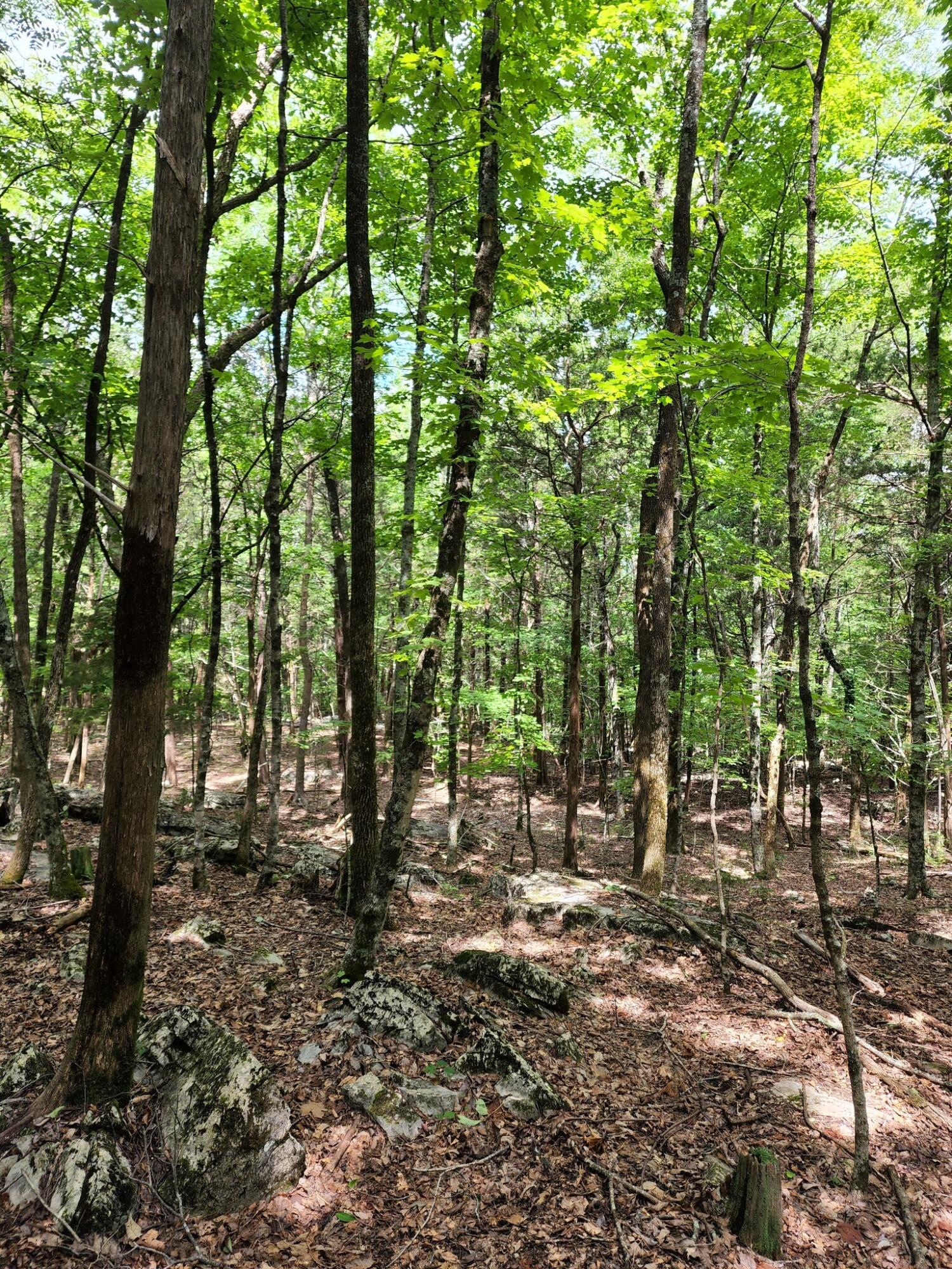 4 Sewanee Summit Road, Unit 4 Decherd, TN 37324 - Photo 19 of 32 2428500-18