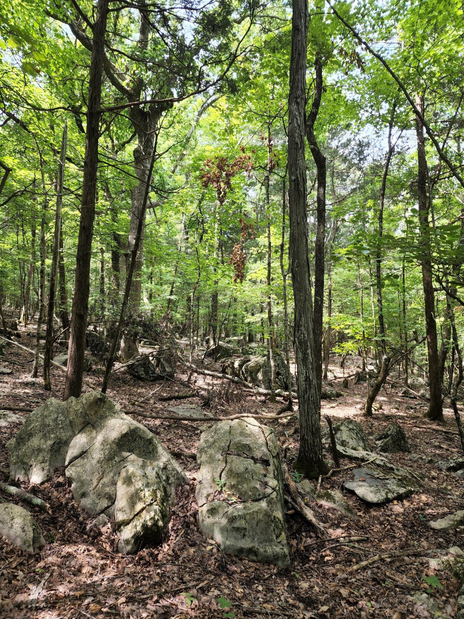 4 Sewanee Summit Road, Unit 4 Decherd, TN 37324 - Photo 20 of 32 2428500-20