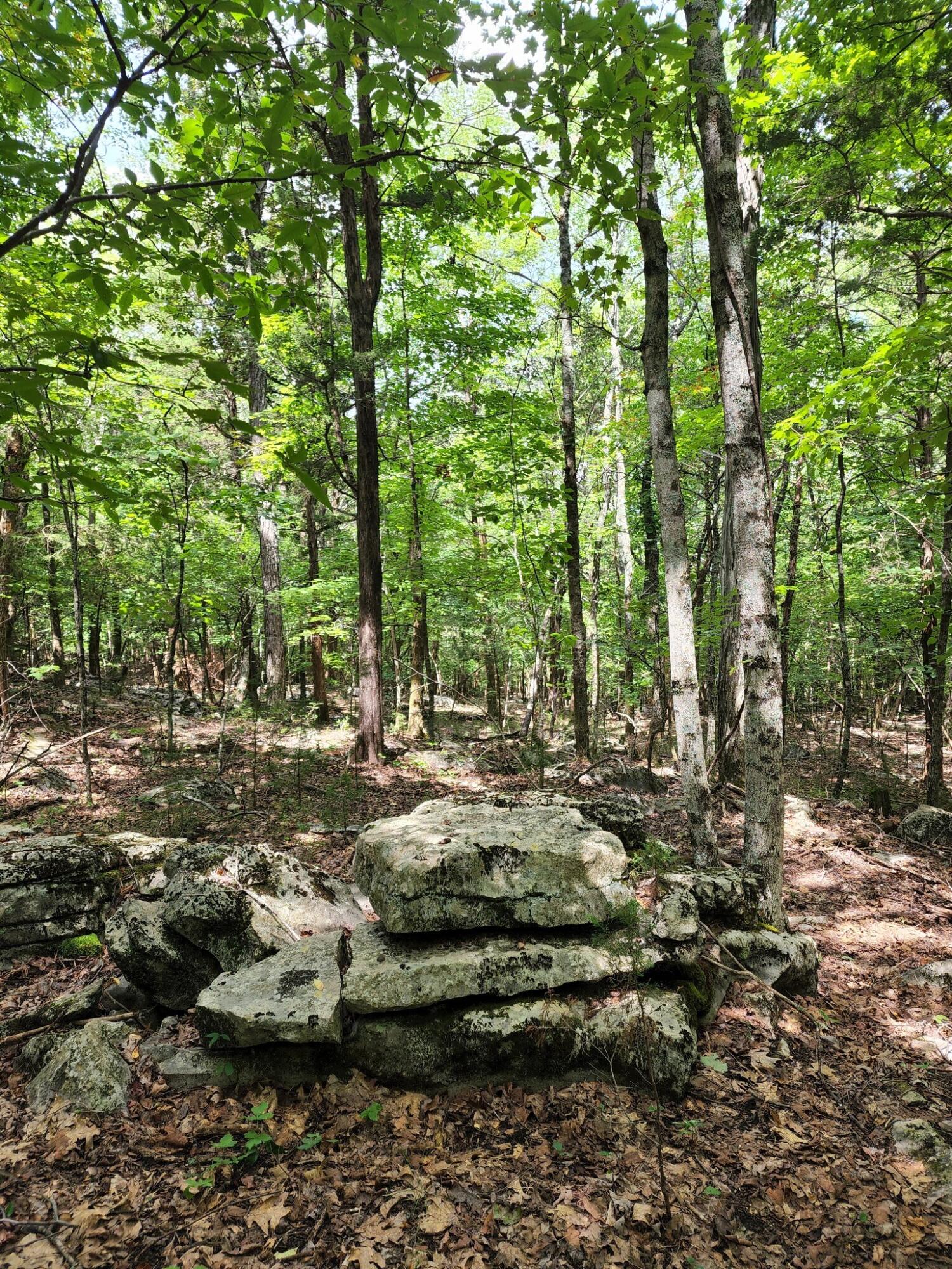 4 Sewanee Summit Road, Unit 4 Decherd, TN 37324 - Photo 21 of 32 2428500-21