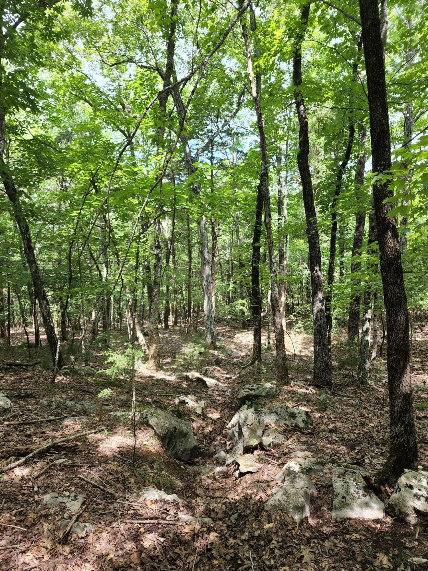 4 Sewanee Summit Road, Unit 4 Decherd, TN 37324 - Photo 23 of 32 2428500-23