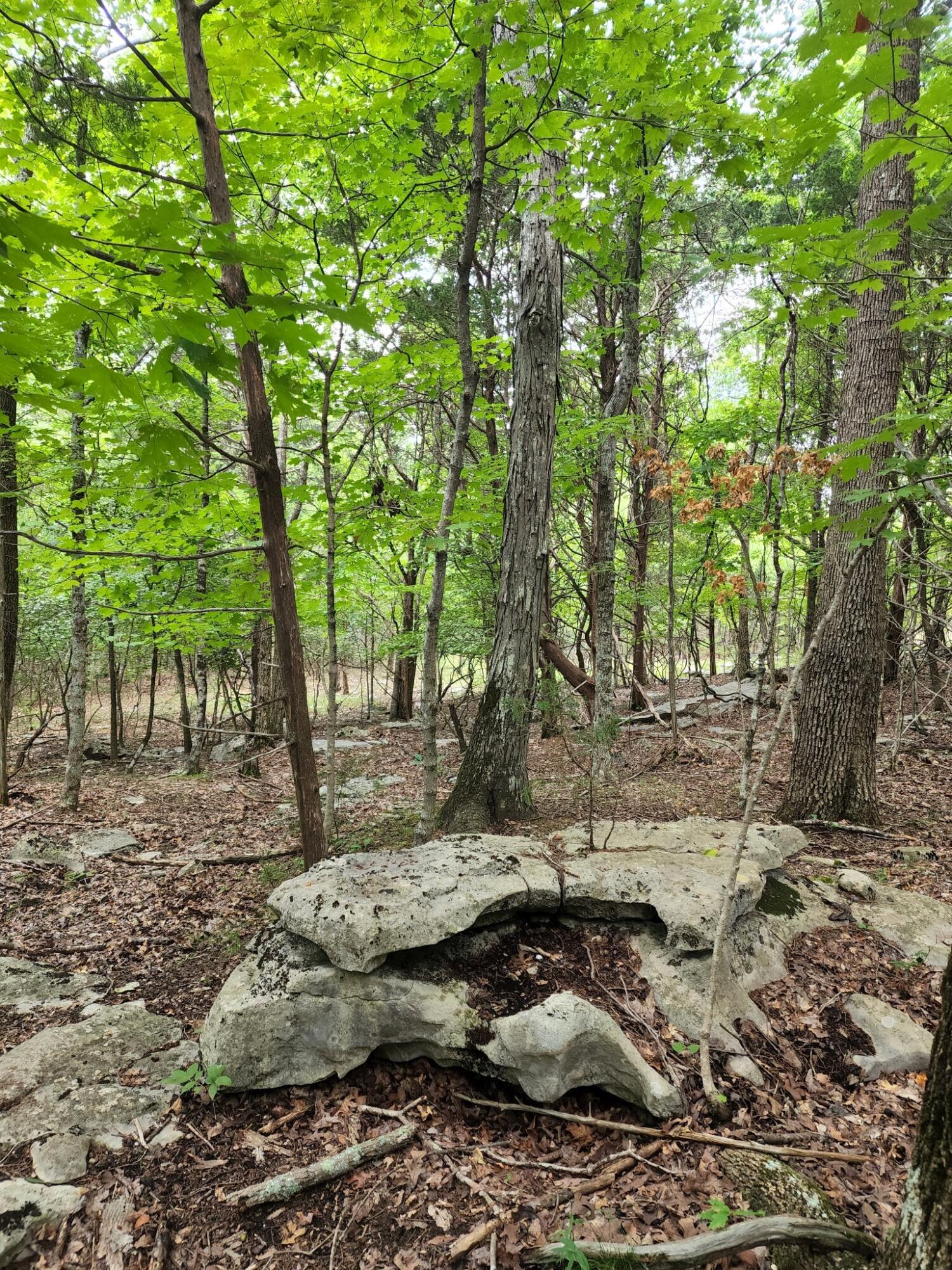4 Sewanee Summit Road, Unit 4 Decherd, TN 37324 - Photo 27 of 32 2428500-28