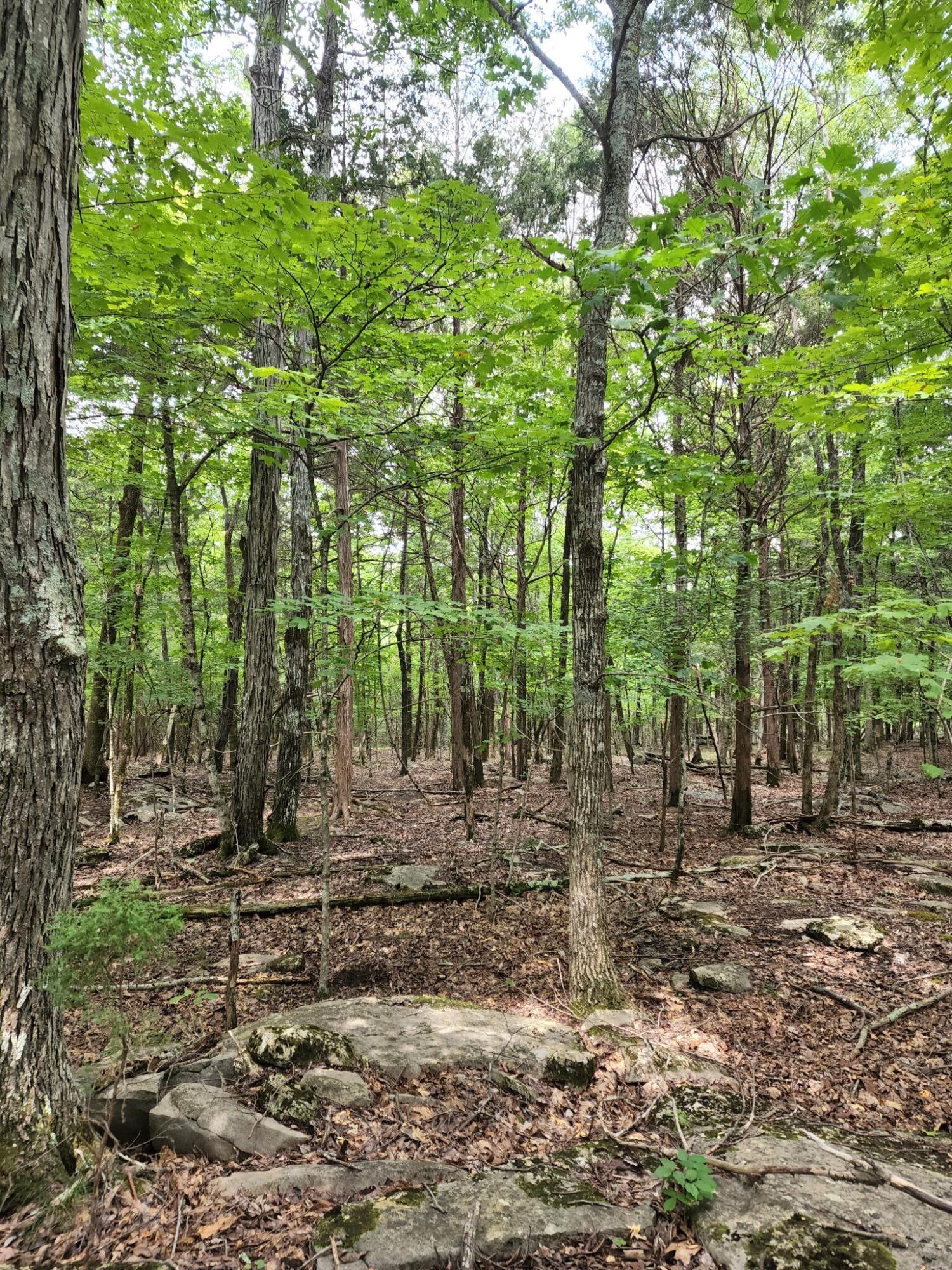 4 Sewanee Summit Road, Unit 4 Decherd, TN 37324 - Photo 29 of 32 2428500-30