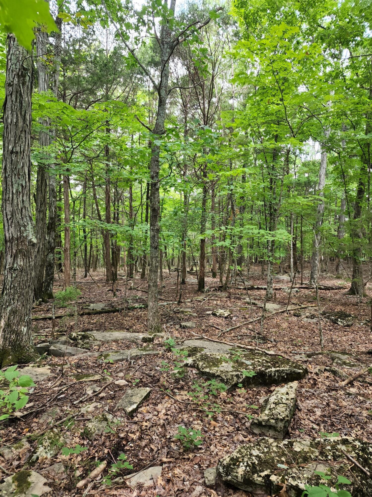 4 Sewanee Summit Road, Unit 4 Decherd, TN 37324 - Photo 31 of 32 2428500-31