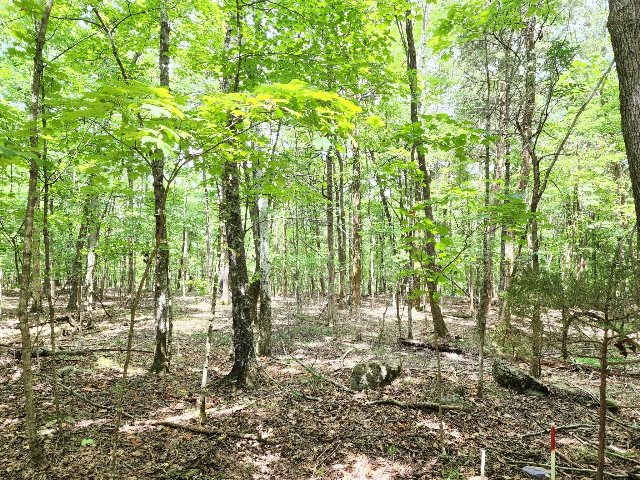 4 Sewanee Summit Road, Unit 4 Decherd, TN 37324 - Photo 4 of 32 2428500-2