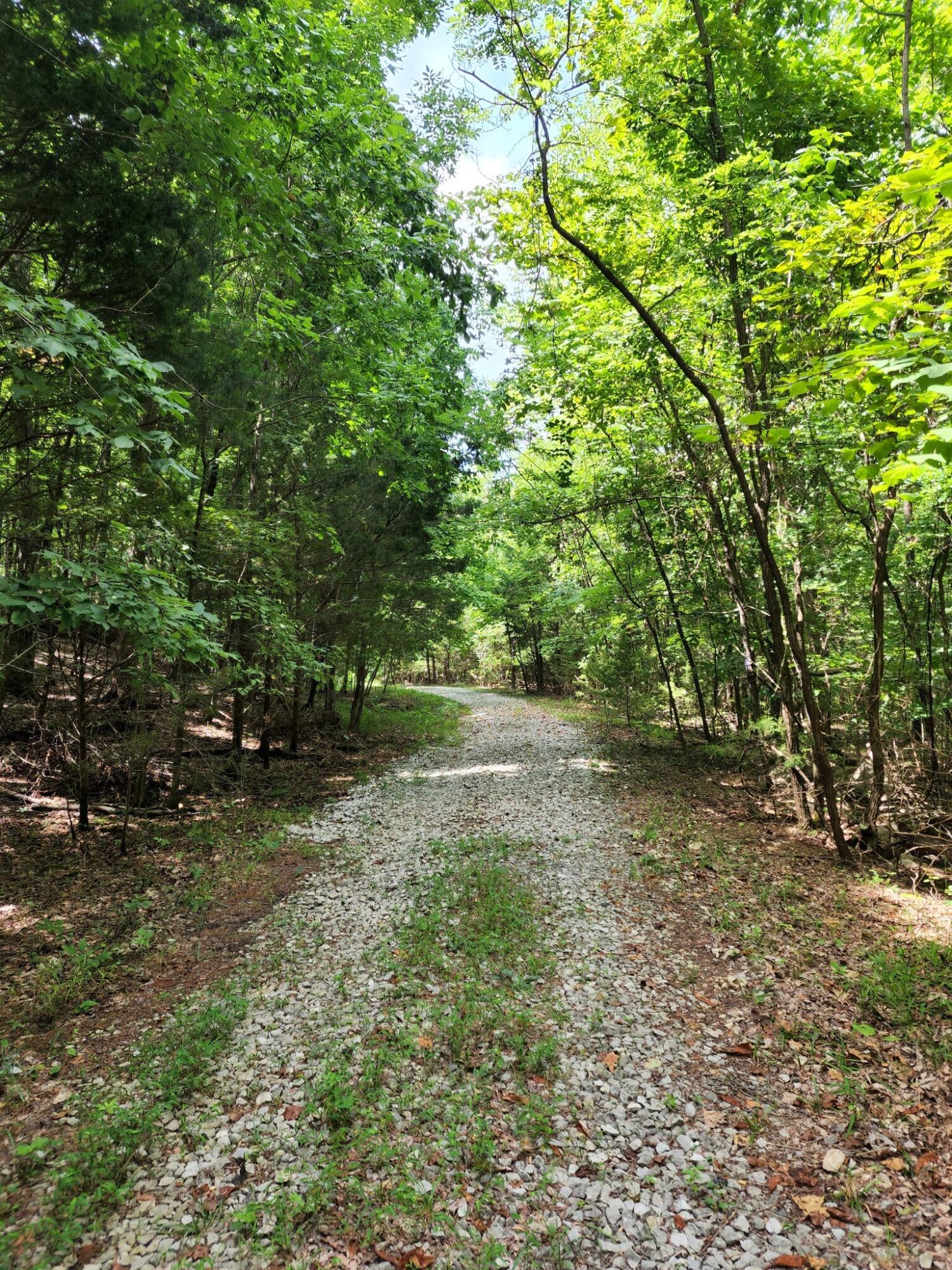 4 Sewanee Summit Road, Unit 4 Decherd, TN 37324 - Photo 6 of 32 2428500-5