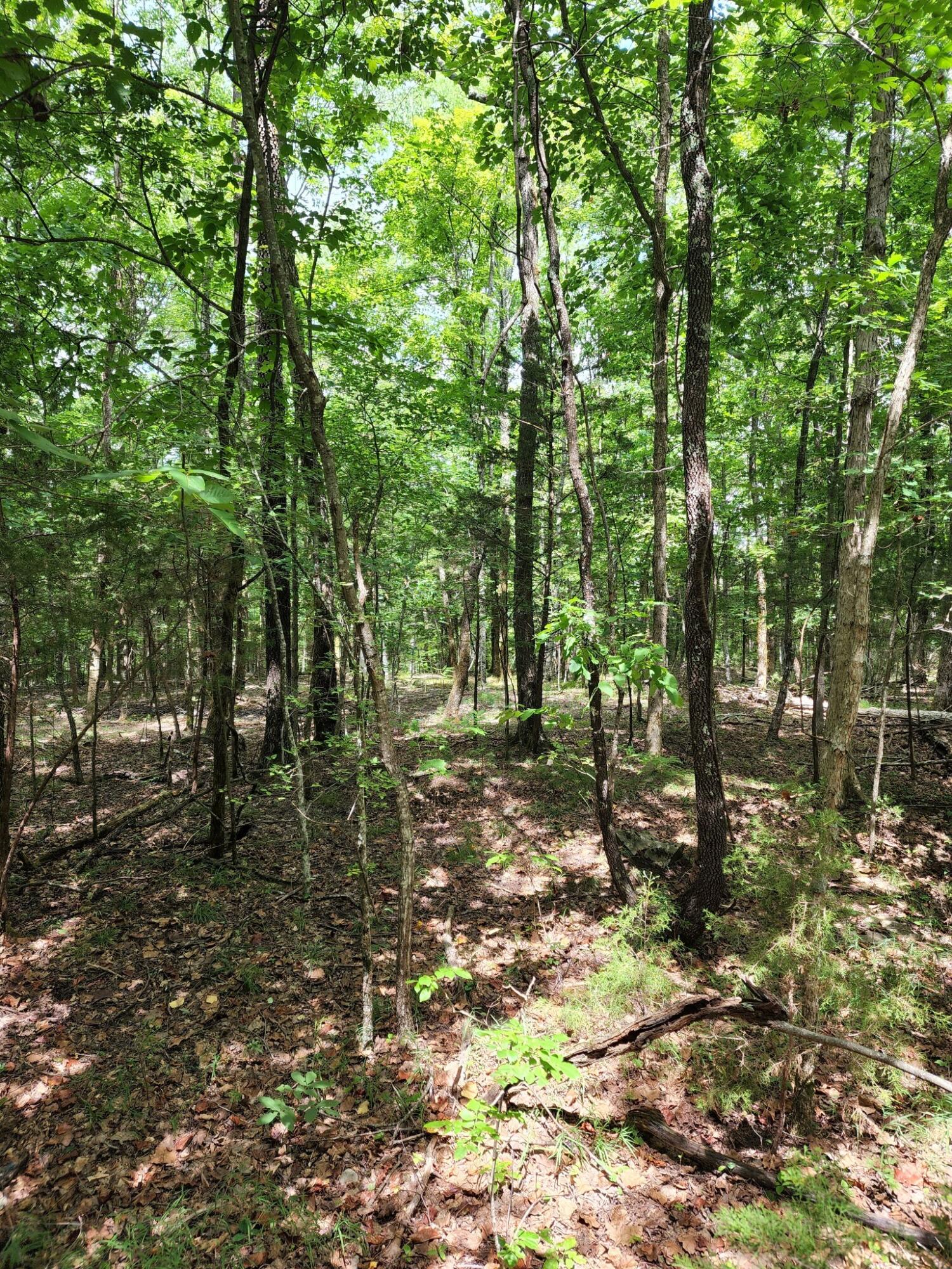 4 Sewanee Summit Road, Unit 4 Decherd, TN 37324 - Photo 7 of 32 2428500-4