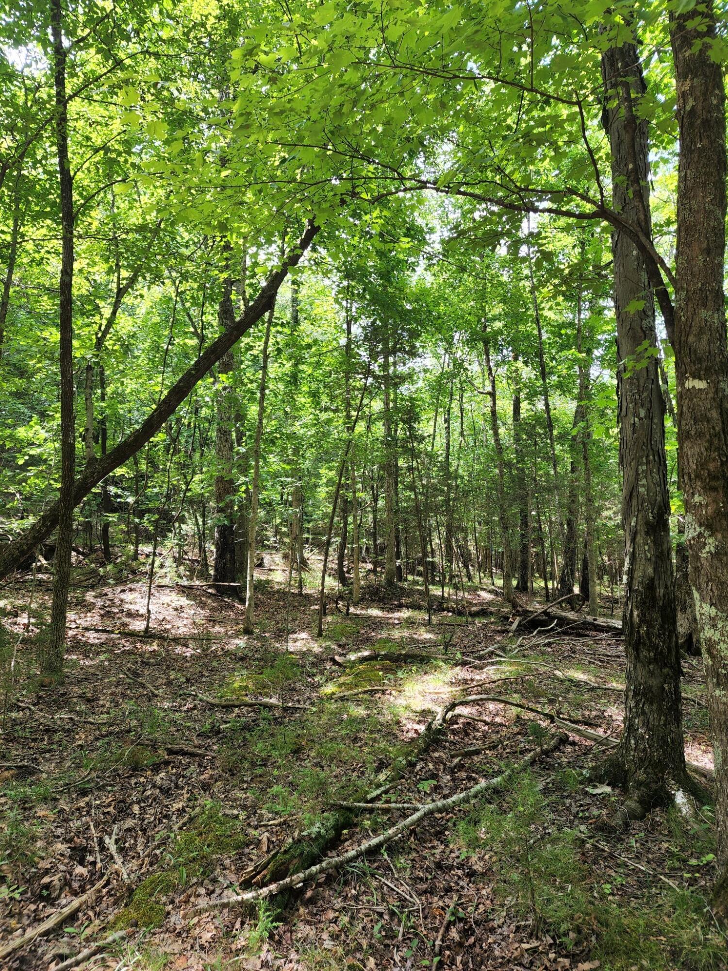 4 Sewanee Summit Road, Unit 4 Decherd, TN 37324 - Photo 8 of 32 2428500-6