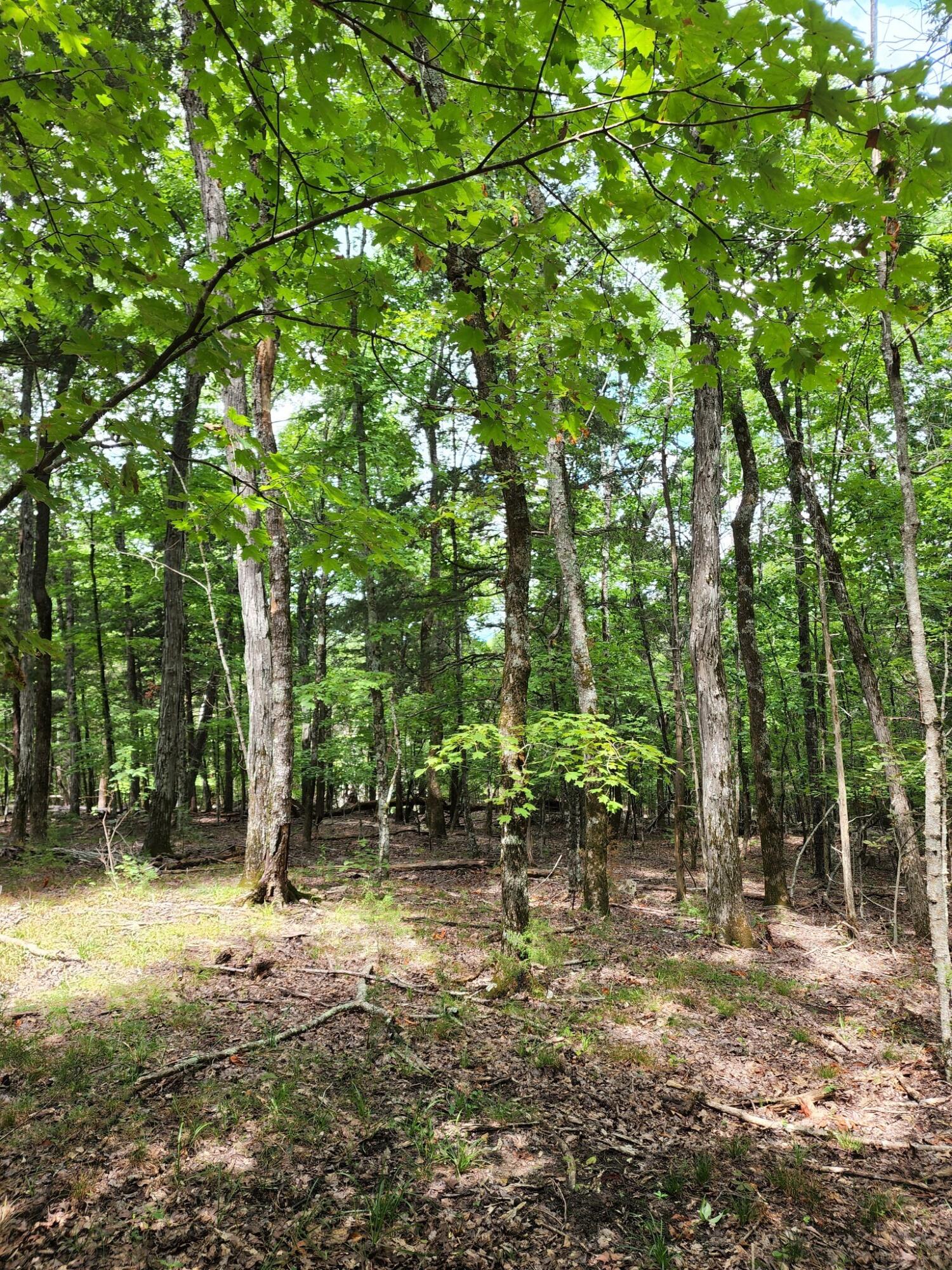 4 Sewanee Summit Road, Unit 4 Decherd, TN 37324 - Photo 10 of 32 2428500-8