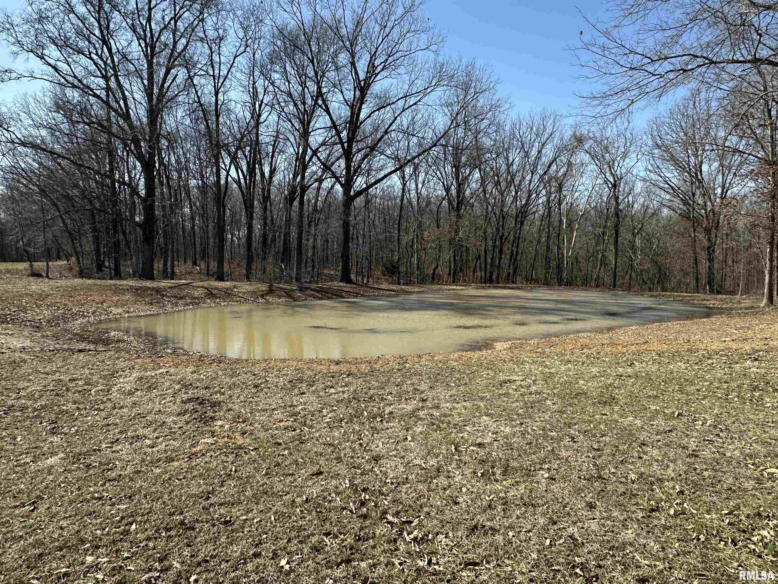 2979 Bundyville Road Walnut Hill, IL 62893 - Photo 46 of 70