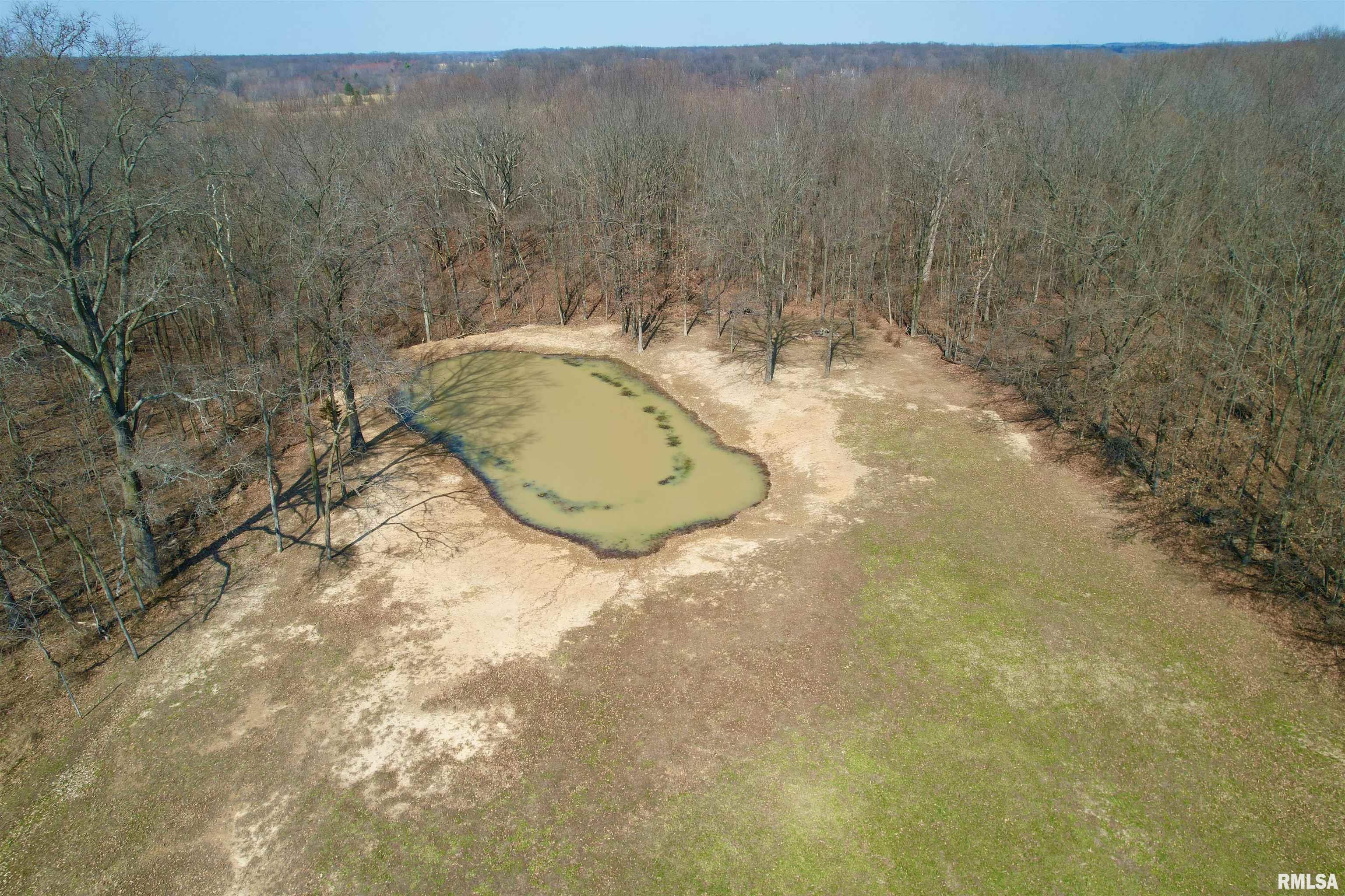 2979 Bundyville Road Walnut Hill, IL 62893 - Photo 5 of 70