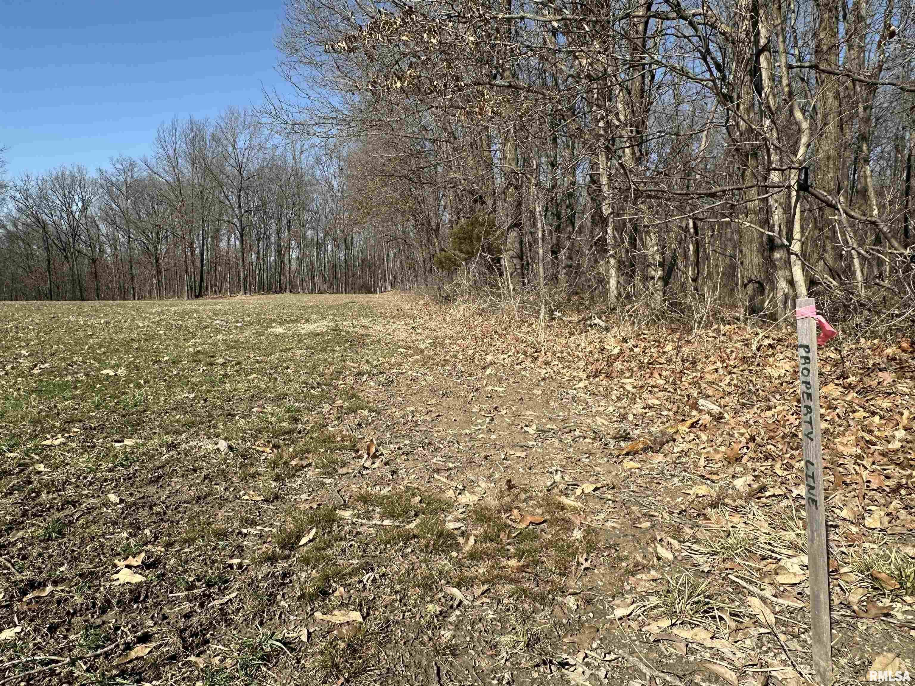 2979 Bundyville Road Walnut Hill, IL 62893 - Photo 52 of 70
