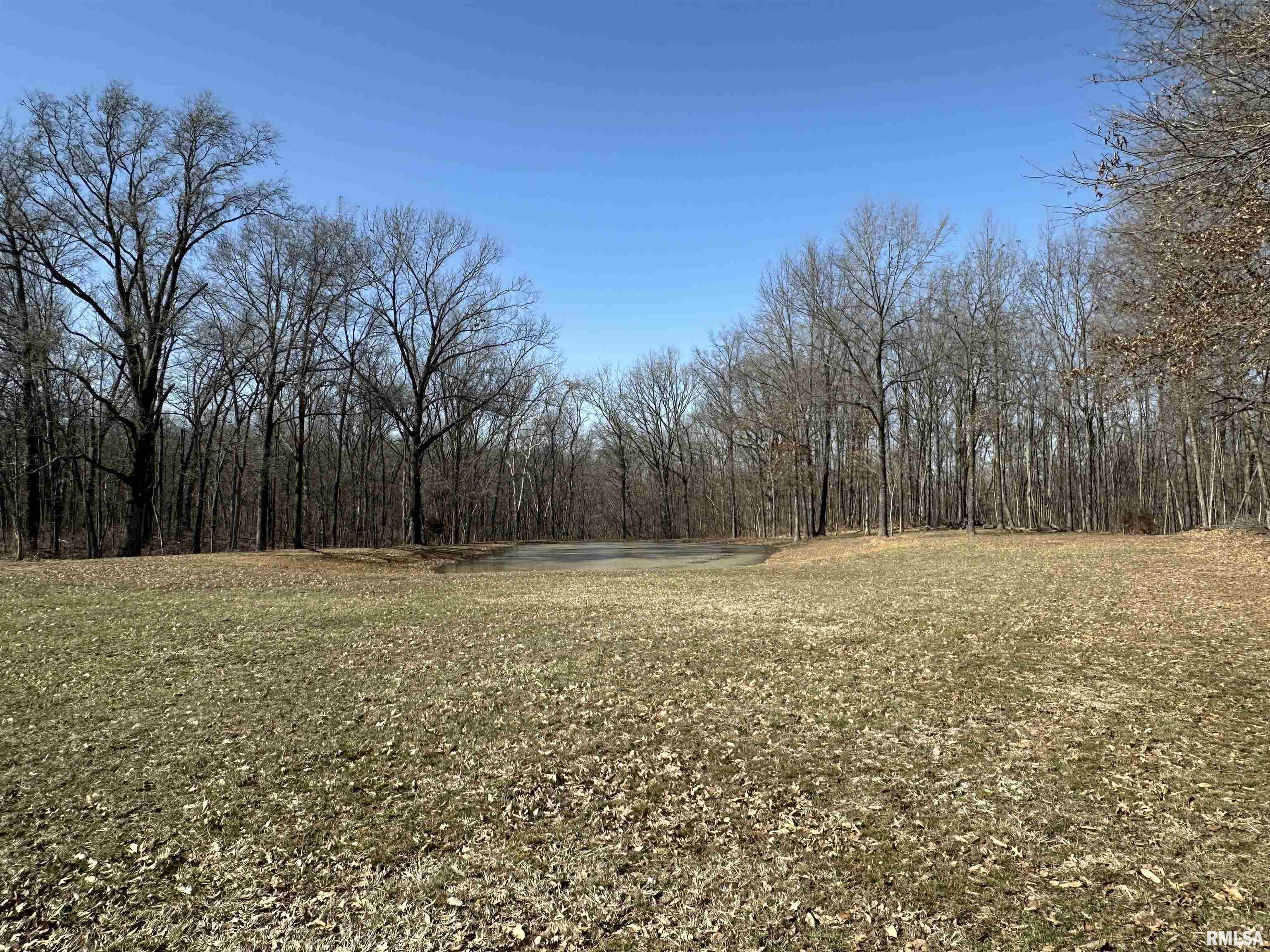 2979 Bundyville Road Walnut Hill, IL 62893 - Photo 53 of 70