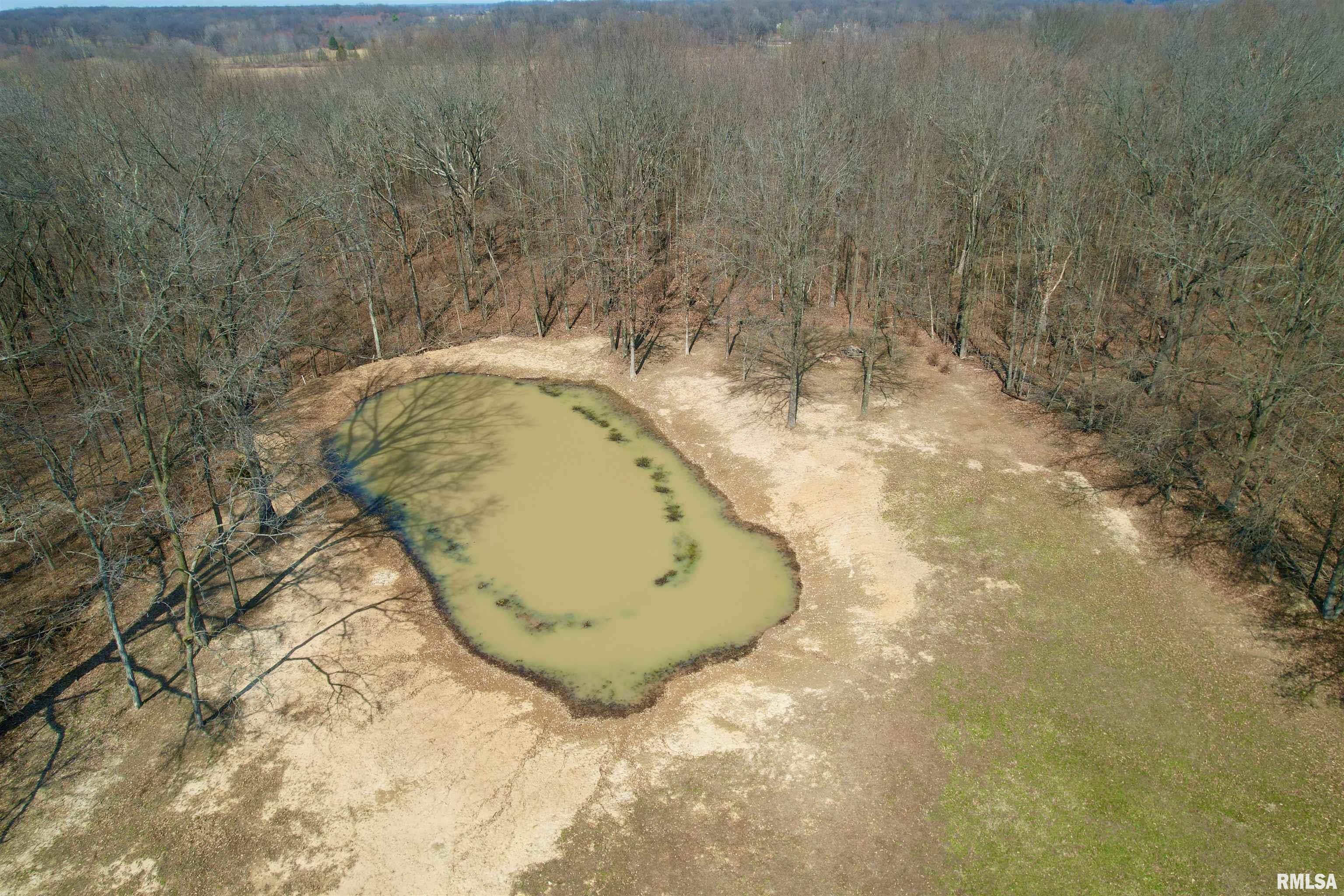 2979 Bundyville Road Walnut Hill, IL 62893 - Photo 57 of 70