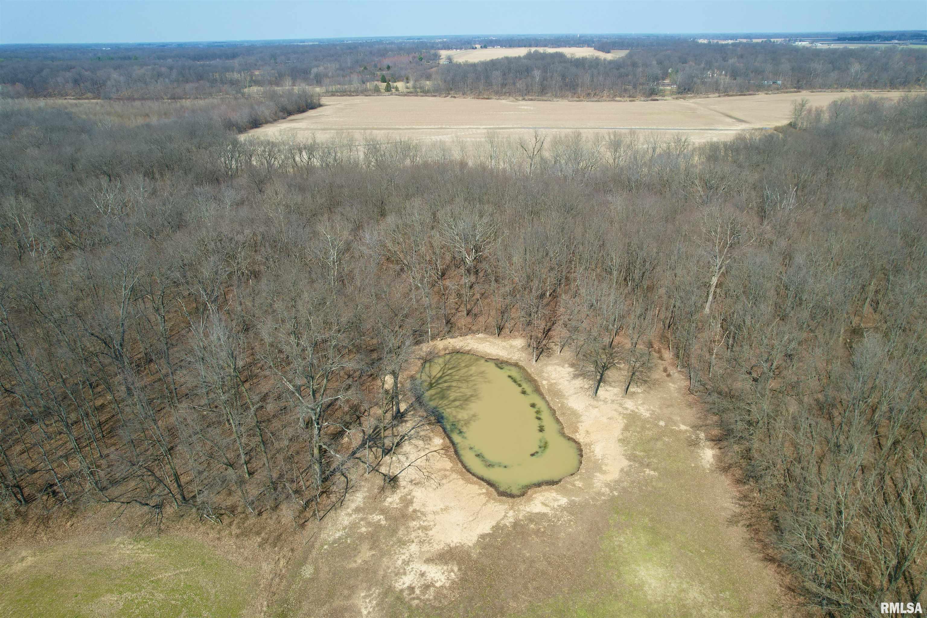 2979 Bundyville Road Walnut Hill, IL 62893 - Photo 58 of 70