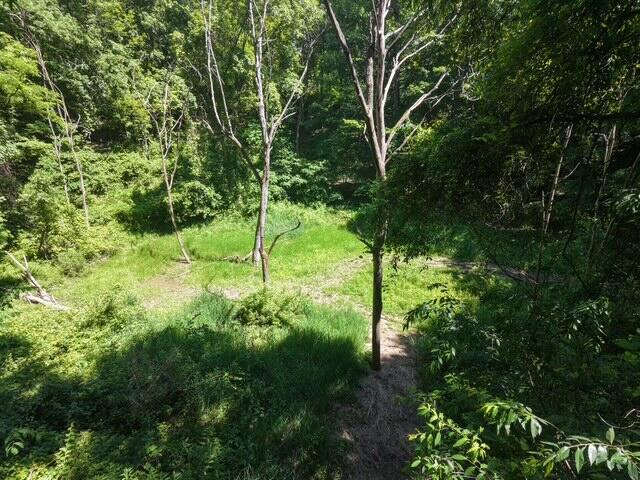 Parcel A West County Line Road Greenville, MI 48838 - Photo 14 of 14 CBE72470-2BF1-43F0-BE4A-55EADFA0CD15