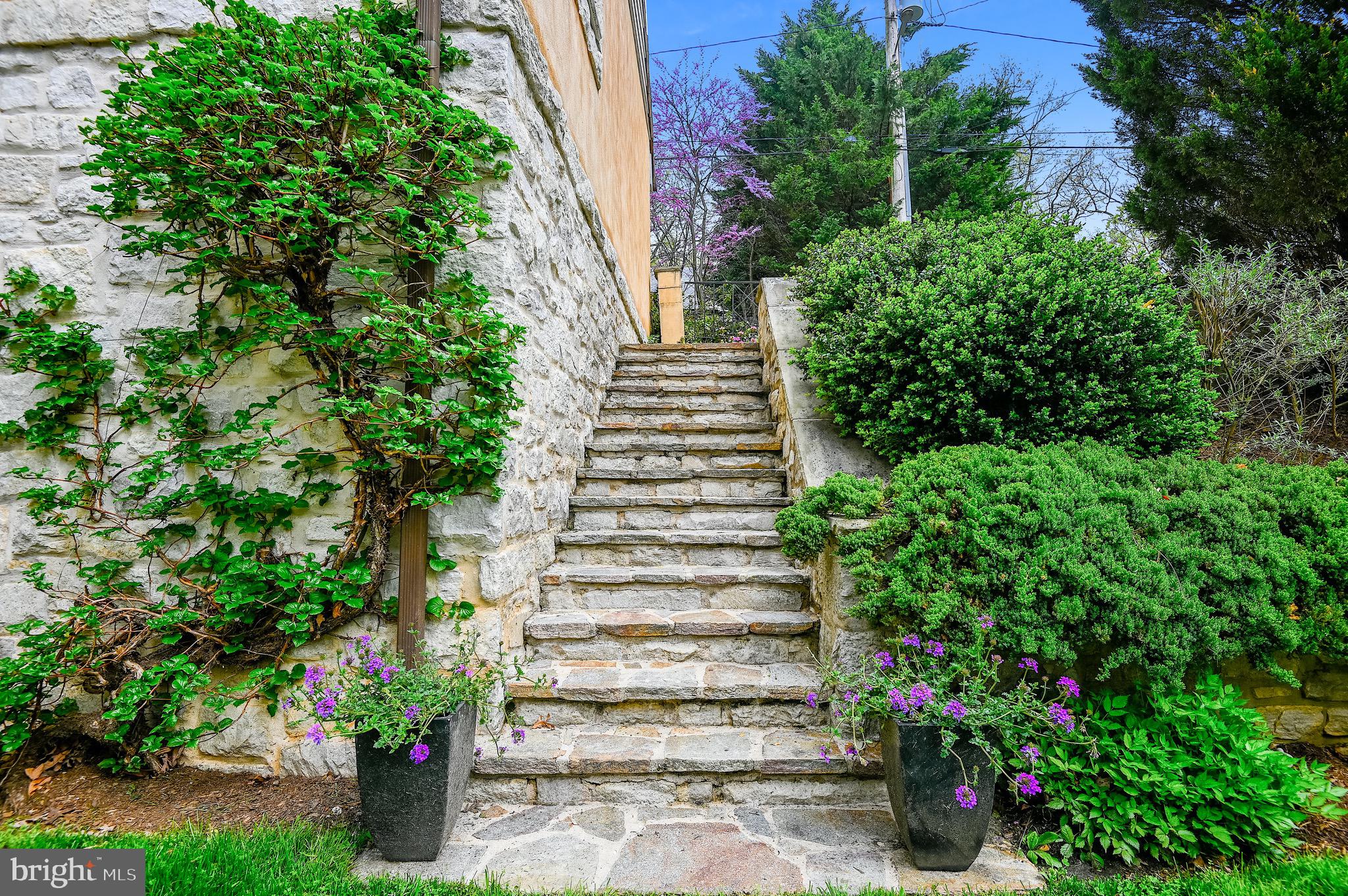 5217 Springlake Way Baltimore, MD 21212 - Photo 47 of 62 Stone stairs toward back lane
