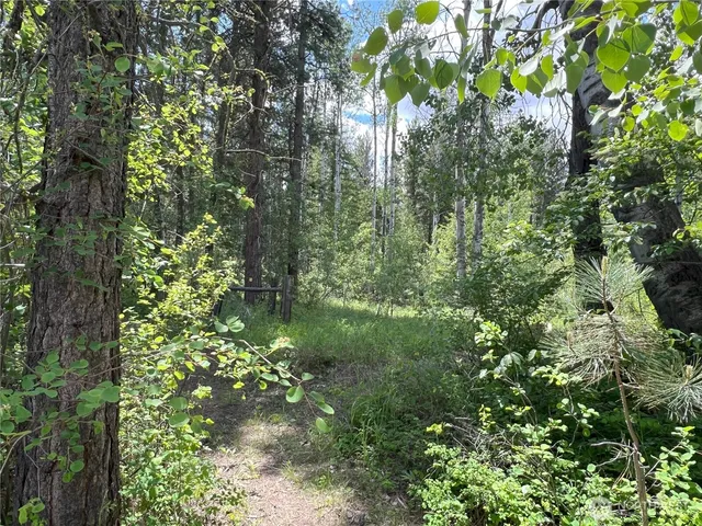 $629,000 | 7 Mazama Meadows Lane, Winthrop, WA 98862