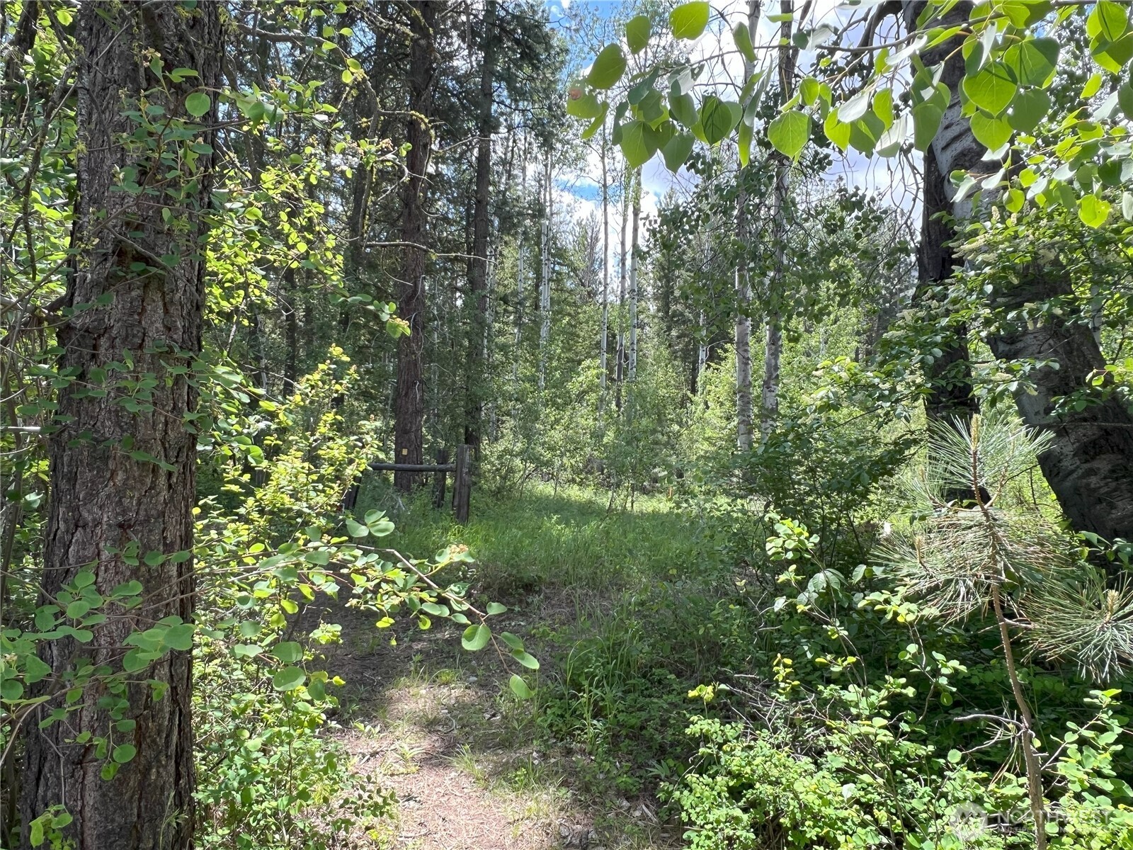 7 Mazama Meadows Lane Winthrop, WA 98862 - Photo 33 of 37