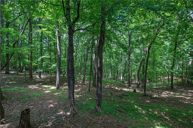 $469,000 | 354 Starcross Lane, Jasper, GA 30143