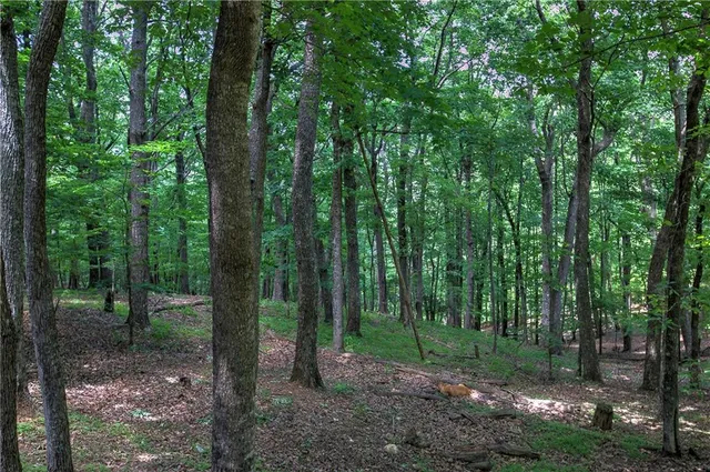 $469,000 | 354 Starcross Lane, Jasper, GA 30143