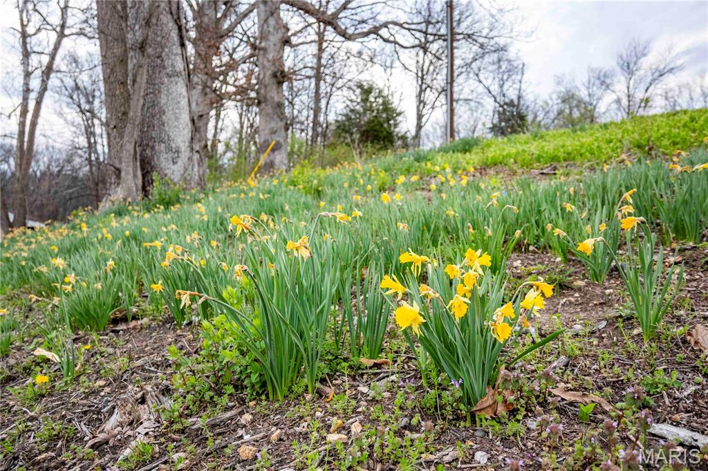 161 Taylor School Road Winfield, MO 63389 - Photo 47 of 73