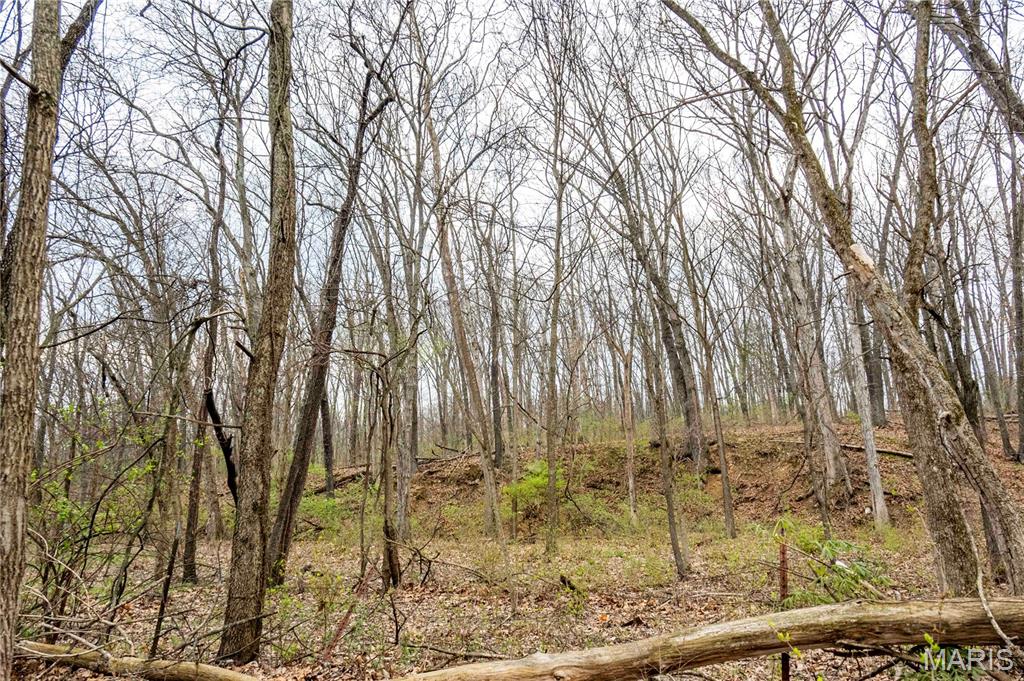 161 Taylor School Road Winfield, MO 63389 - Photo 52 of 73