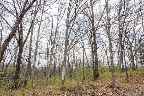 $309,900 | 161 Taylor School Road, Winfield, MO 63389