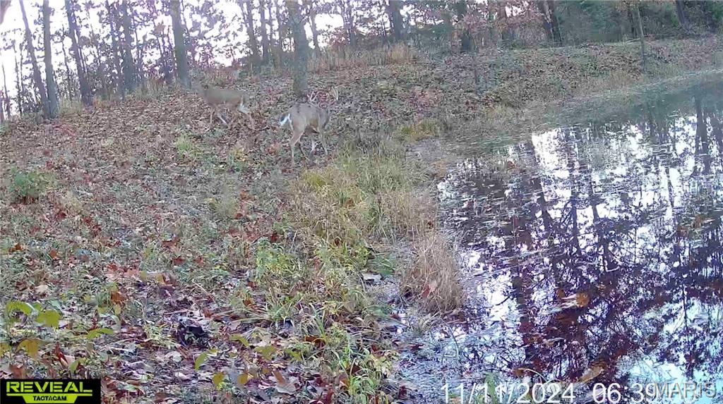 161 Taylor School Road Winfield, MO 63389 - Photo 60 of 73