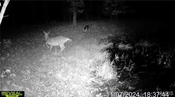 $309,900 | 161 Taylor School Road, Winfield, MO 63389