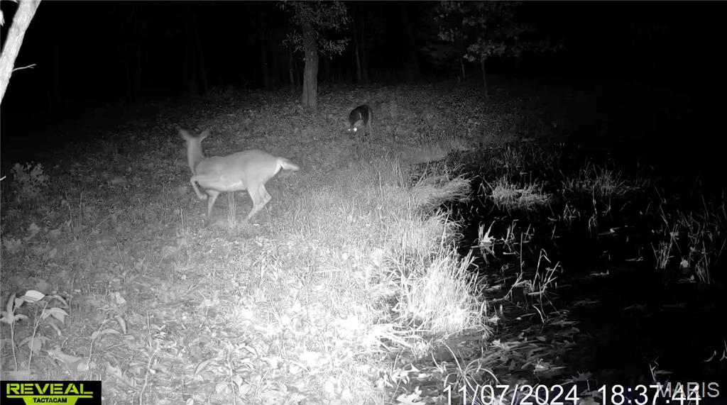 161 Taylor School Road Winfield, MO 63389 - Photo 61 of 73