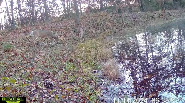 $309,900 | 161 Taylor School Road, Winfield, MO 63389