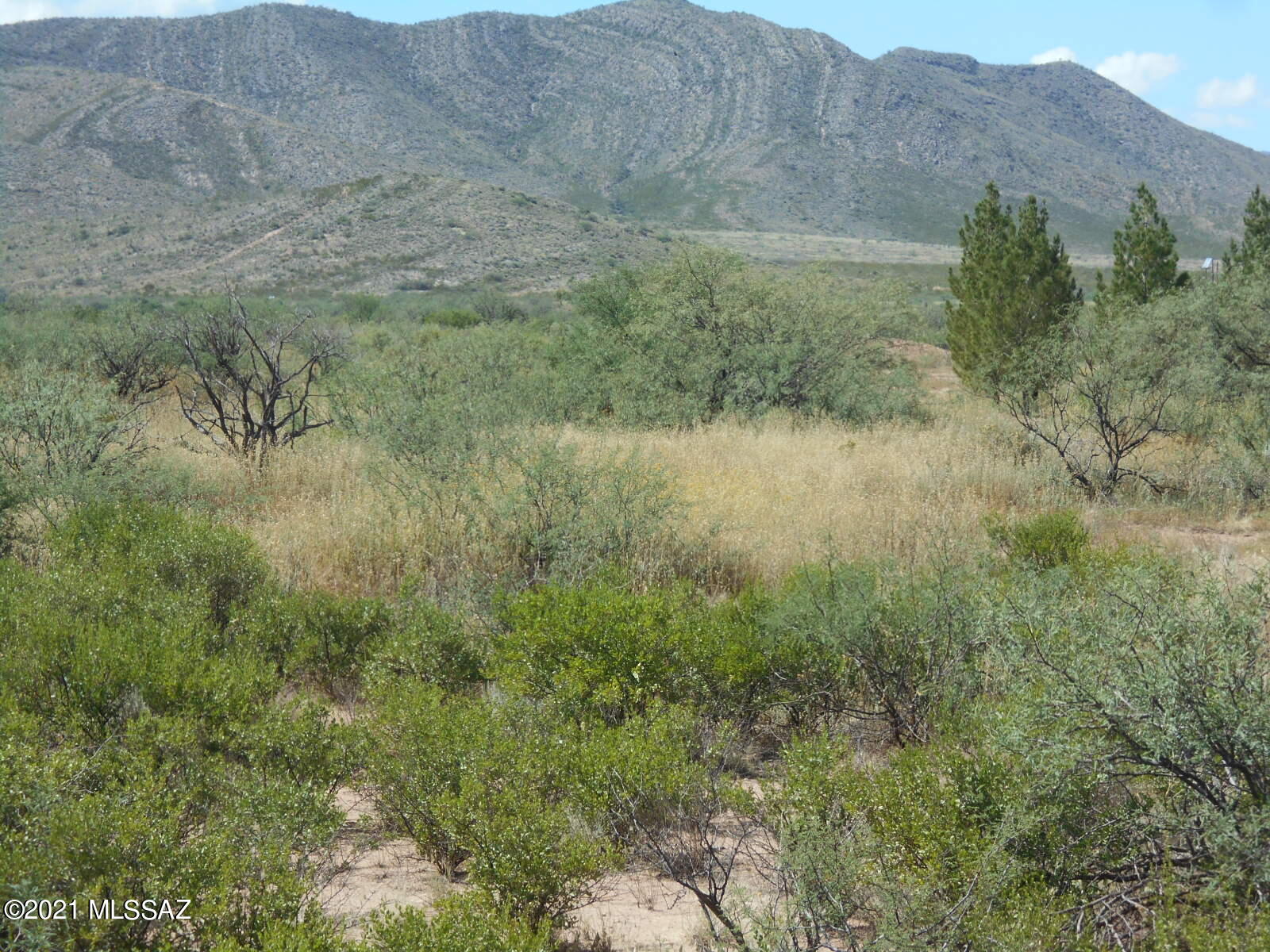 4 North Golden Rule Road Cochise, AZ 85606 - Photo 1 of 13