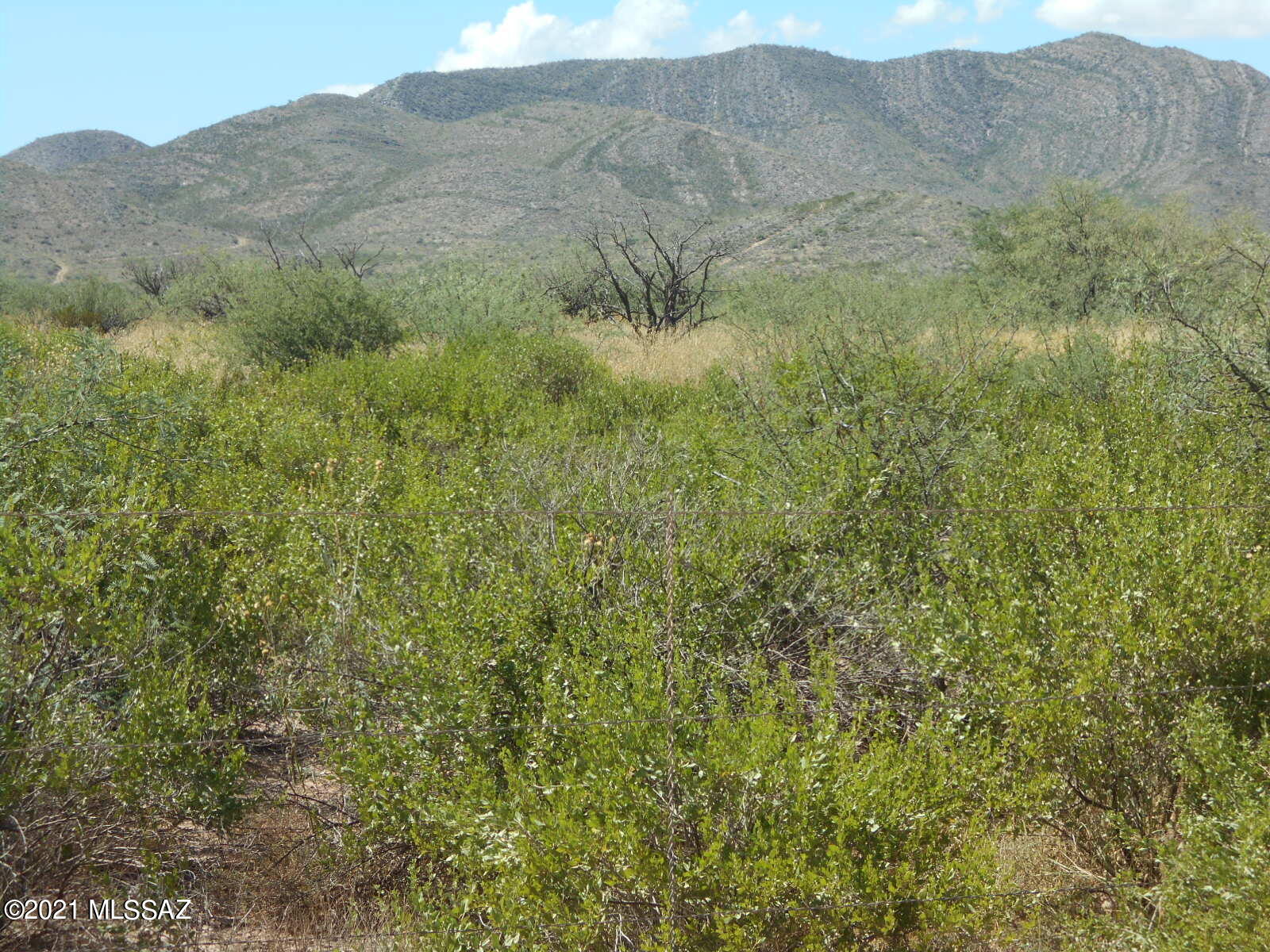 4 North Golden Rule Road Cochise, AZ 85606 - Photo 3 of 13