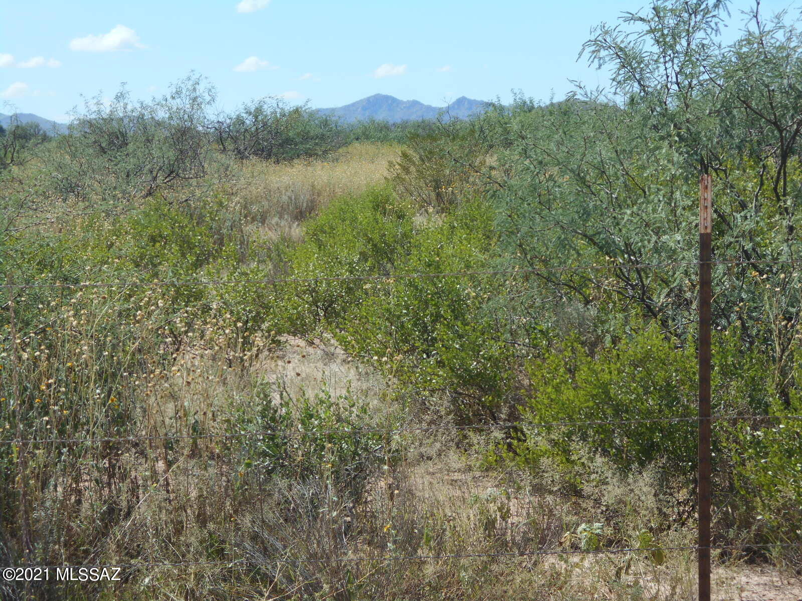 4 North Golden Rule Road Cochise, AZ 85606 - Photo 4 of 13