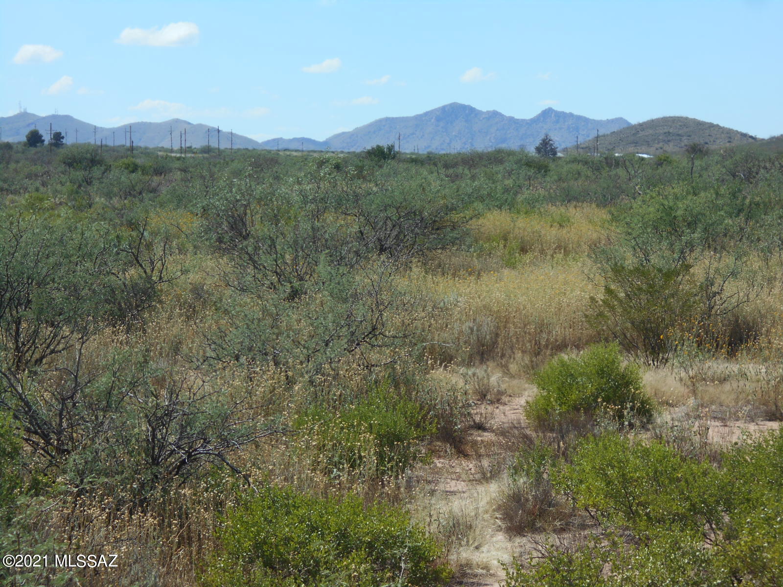 4 North Golden Rule Road Cochise, AZ 85606 - Photo 7 of 13