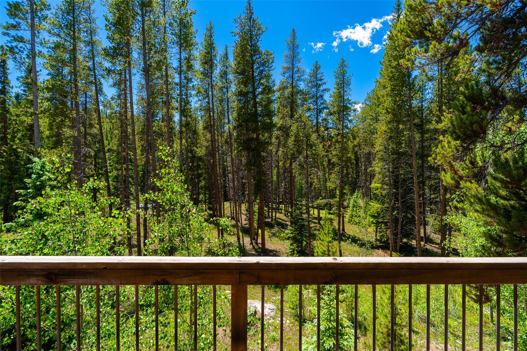 277 Wagon Road Breckenridge, CO 80424 - Photo 49 of 50