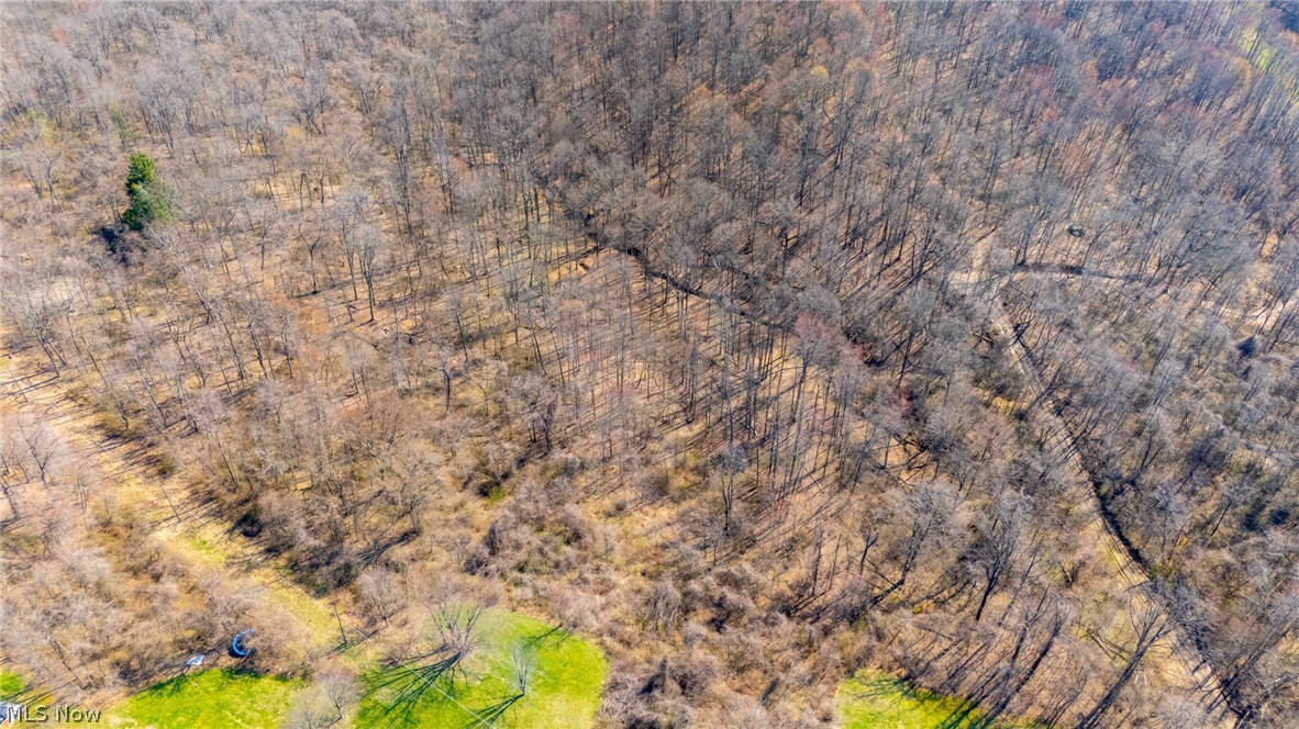 53341 Key Bellaire Road Bellaire, OH 43906 - Photo 10 of 48 Drone / aerial view of a forest