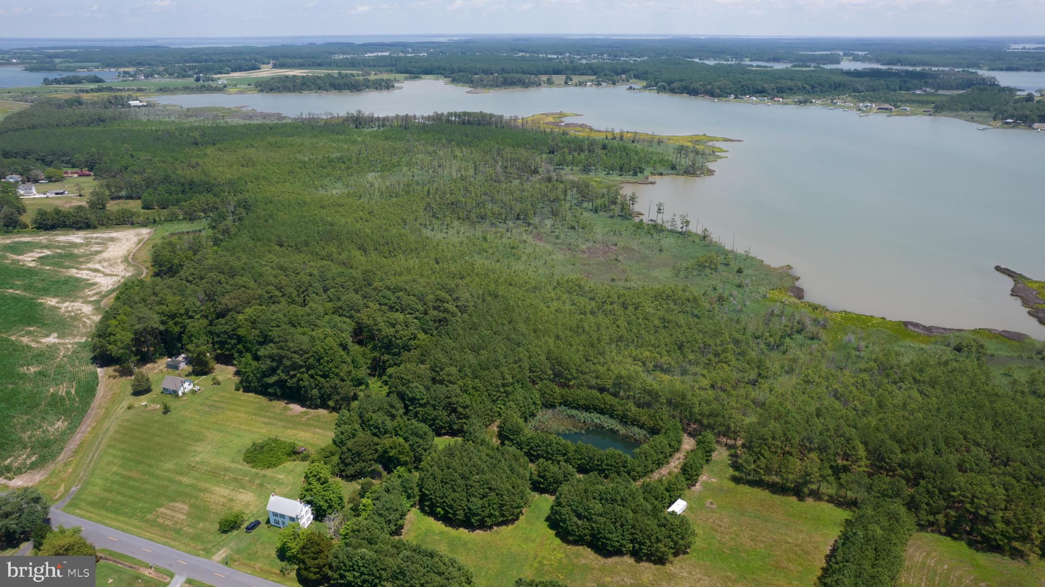 Ragged Point Cambridge, MD 21613 - Photo 6 of 6 5-acre lot from road to water