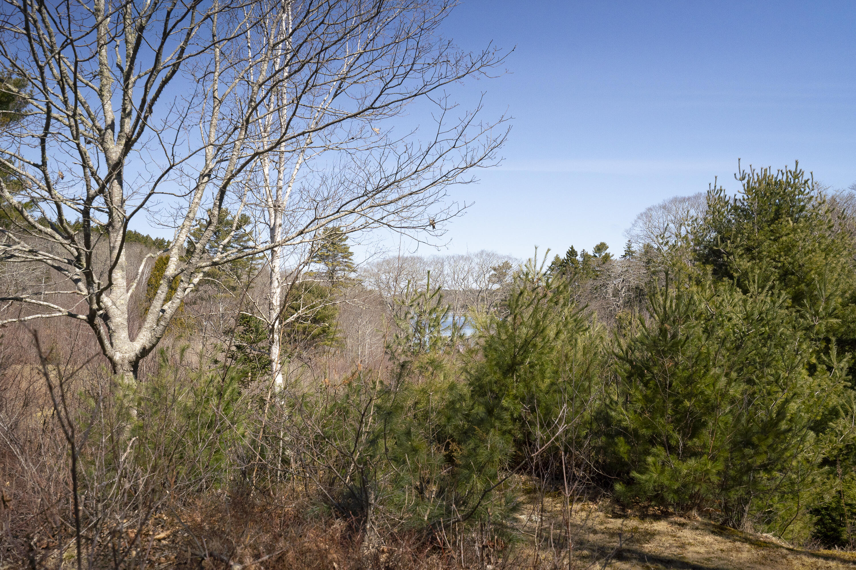 4-1 Cameron Point Road Southport, ME 04576 - Photo 4 of 11 3