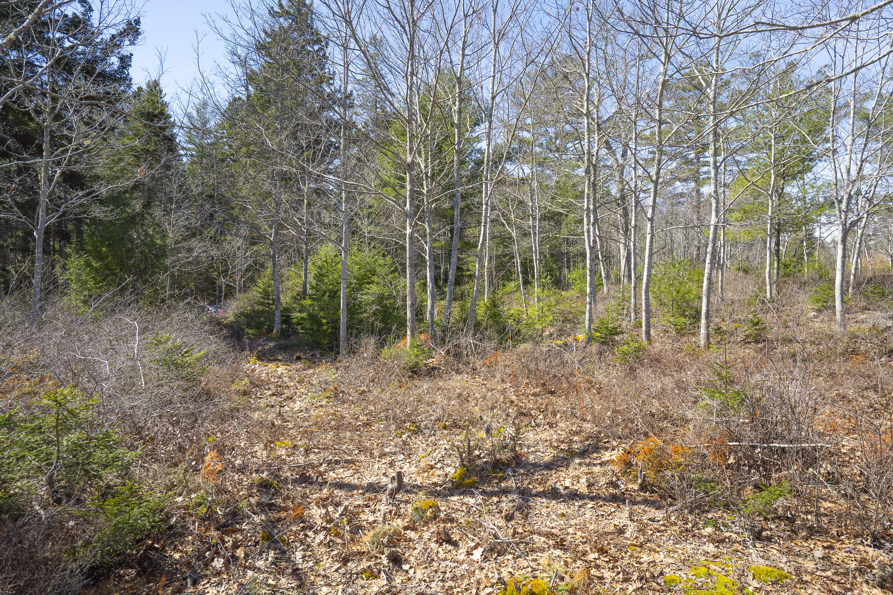 4-1 Cameron Point Road Southport, ME 04576 - Photo 5 of 11 4